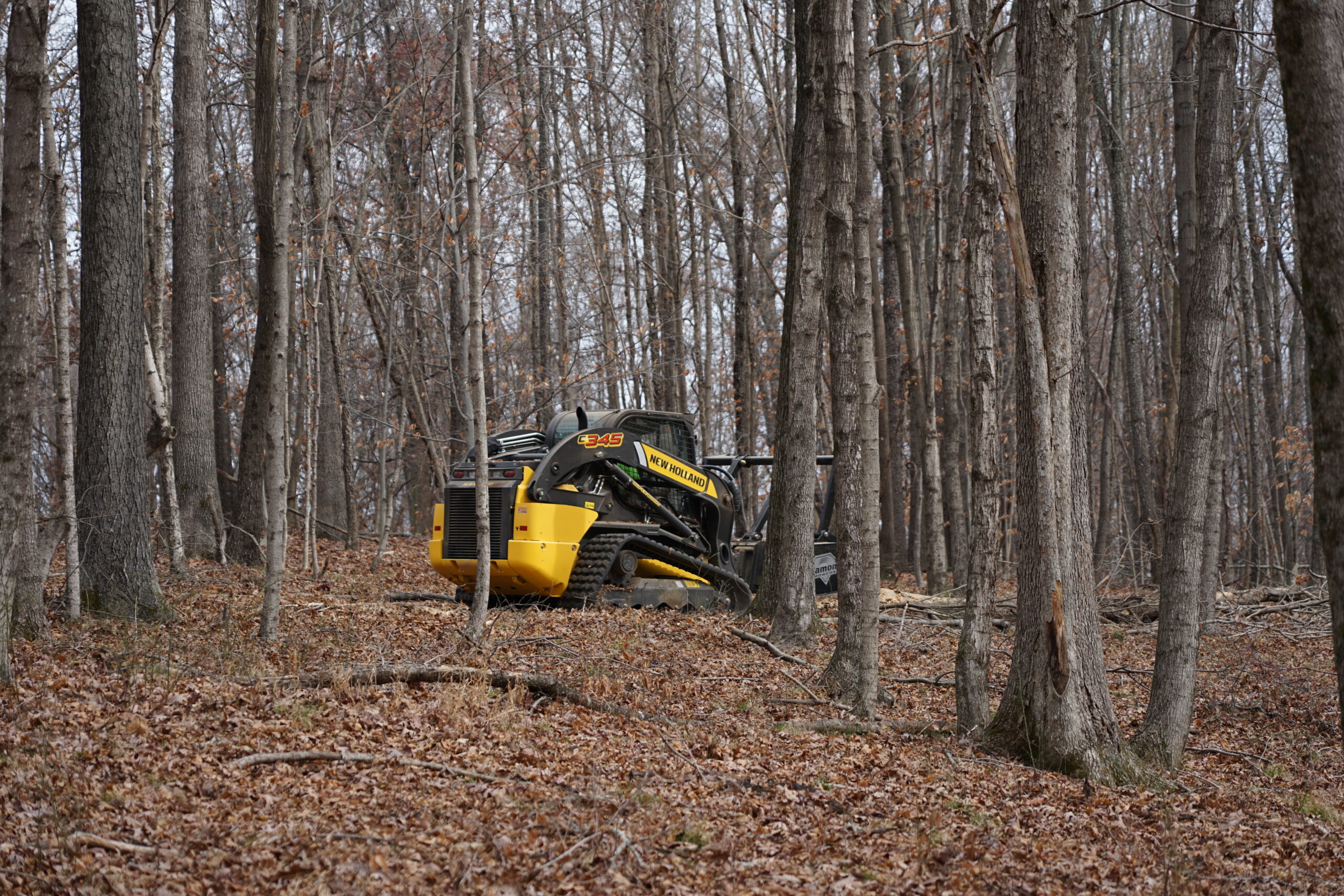 forestry mulcher clearing land vegetation for a trail in a forest.