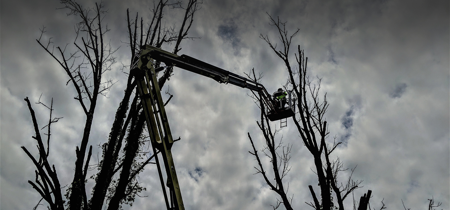 Forestry Management, Urban Forestry, Wildlife Management Indiana