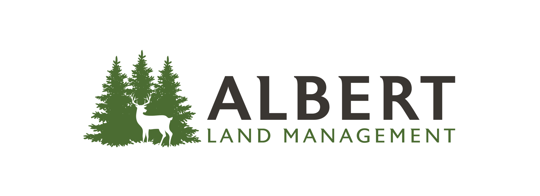www.albertlandmanagement.com