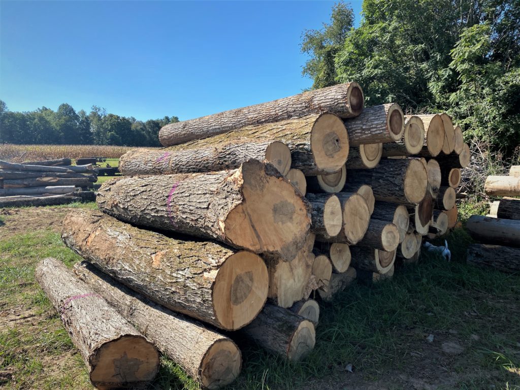 The marked and harvested timber from a timber sale. 