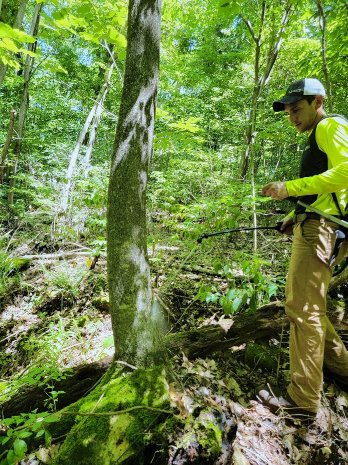 Invasive Plant Species Management Albert Land Management