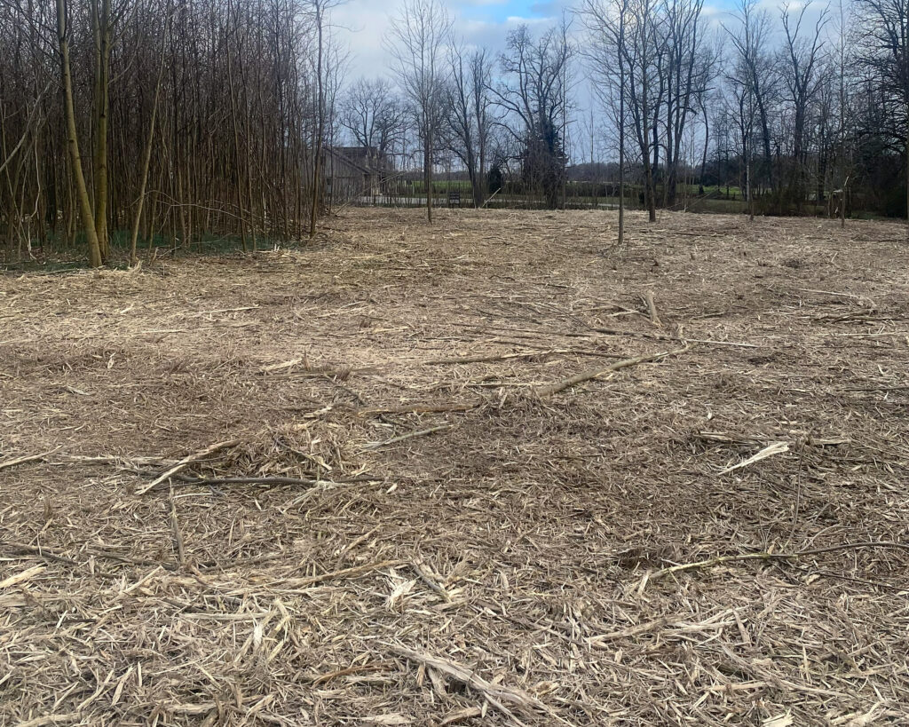 forestry mulching. forest trail establishment, and land clearing by forestry mulcher.