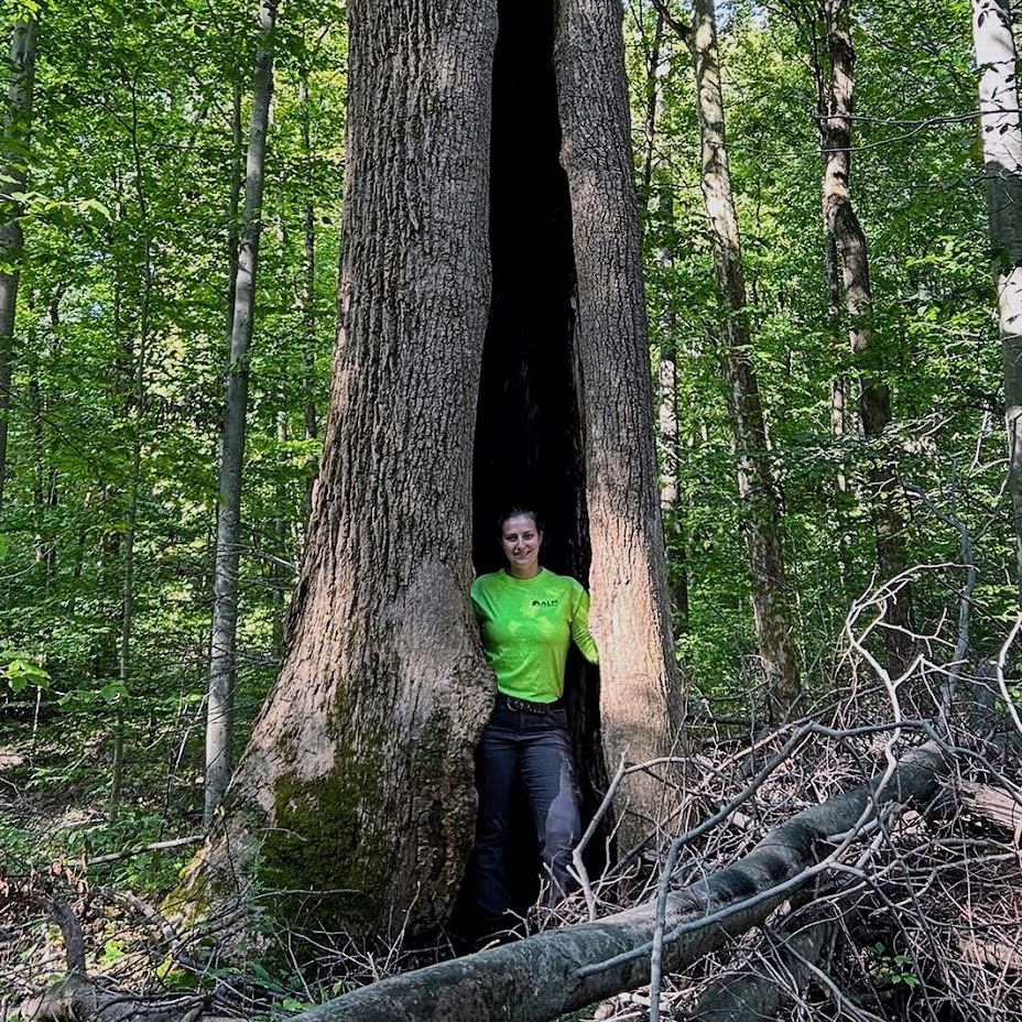 Rachel Albert is a forestry professional whom also shares a passion for wildlife habitat management.